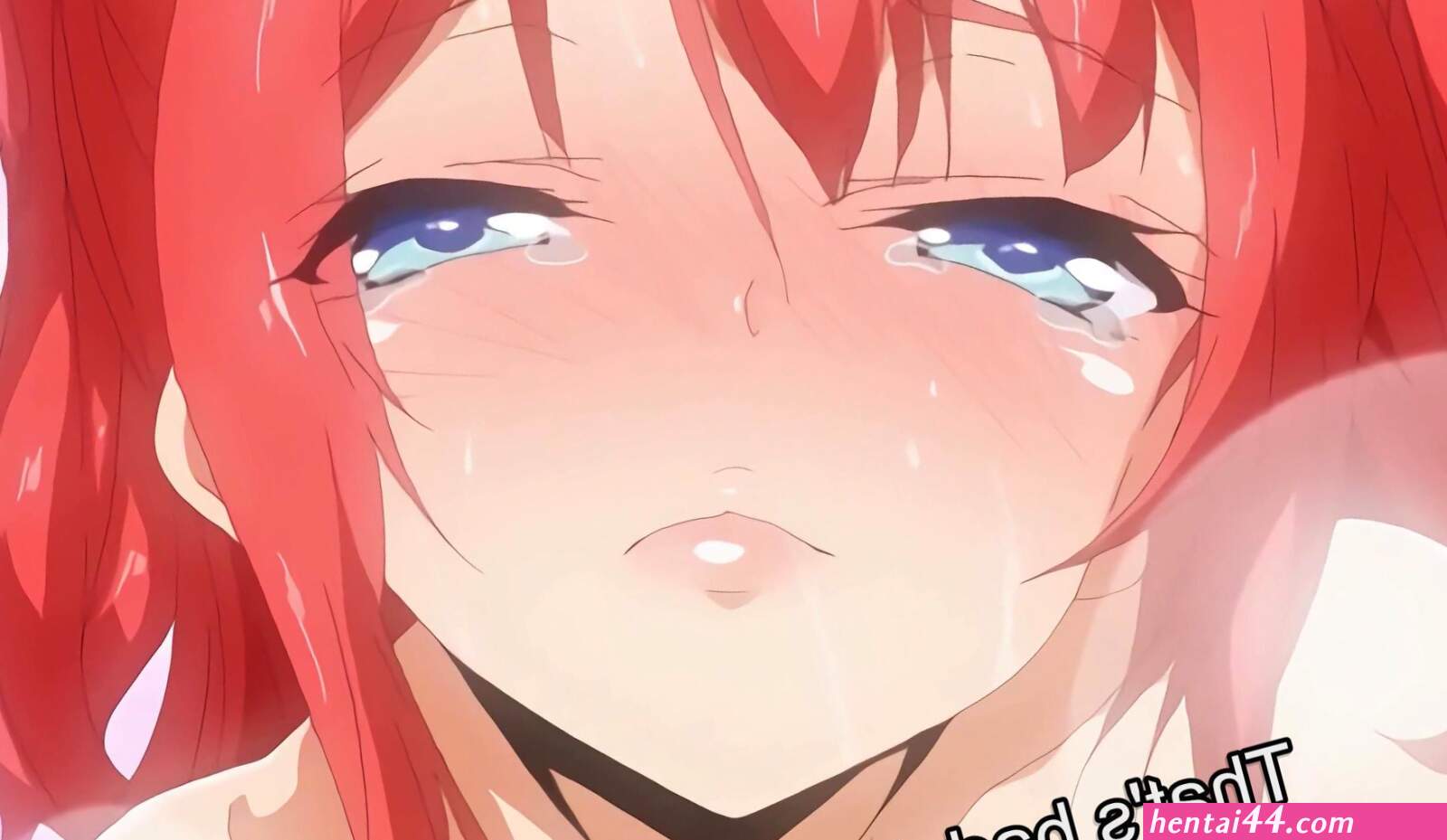 Seikatsu shuukan the animation