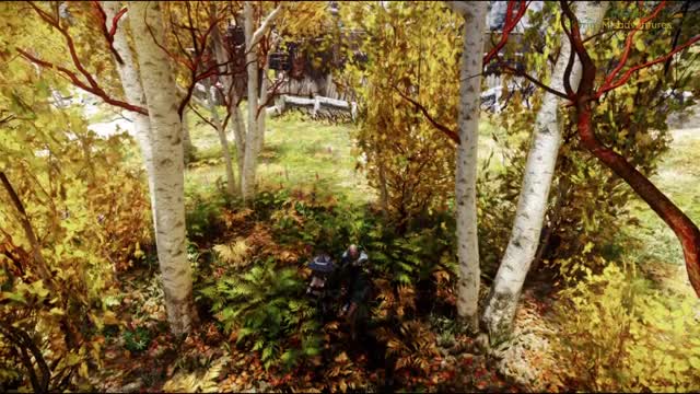 Adventurers captured by orcs (extended)