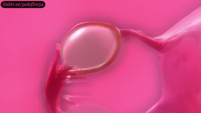 Aerith – Forced Ovulation and Impregnation