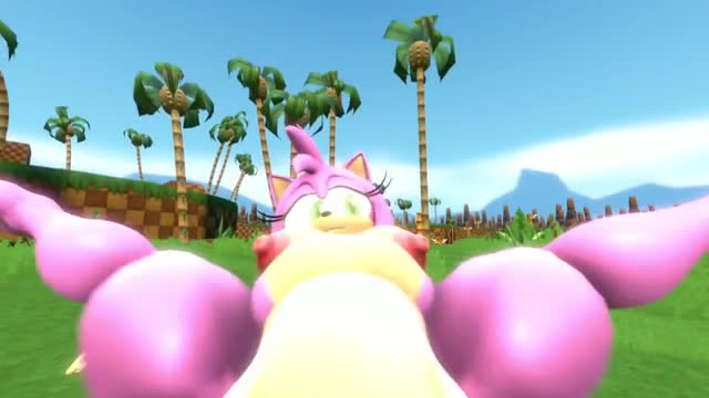 Amy Rose POV