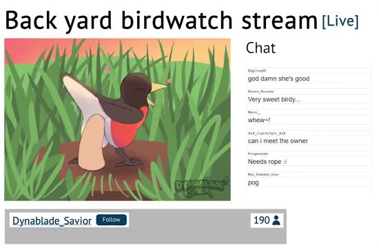 Back yard birdwatch stream [Dynablade_Savior]