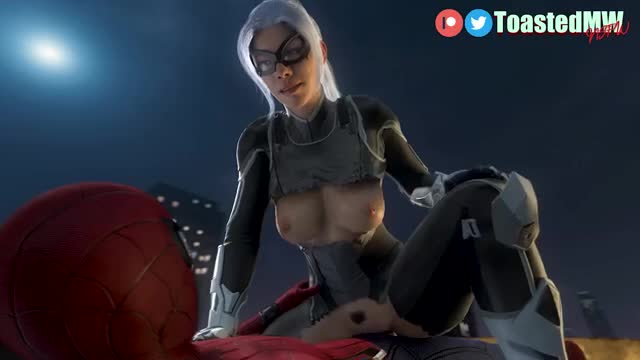 Black cat riding spiderman
