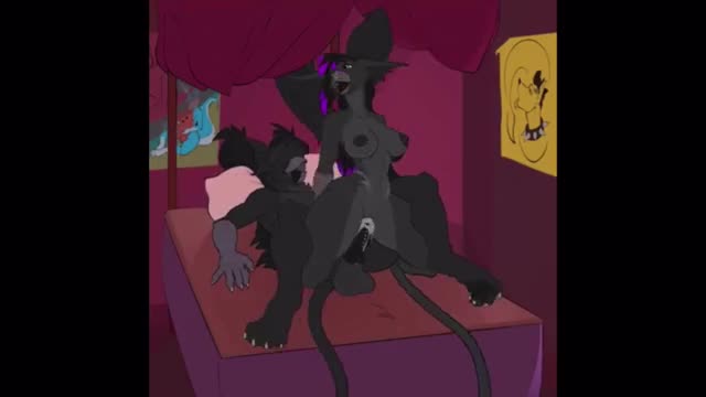 Brolaren Furry HMV