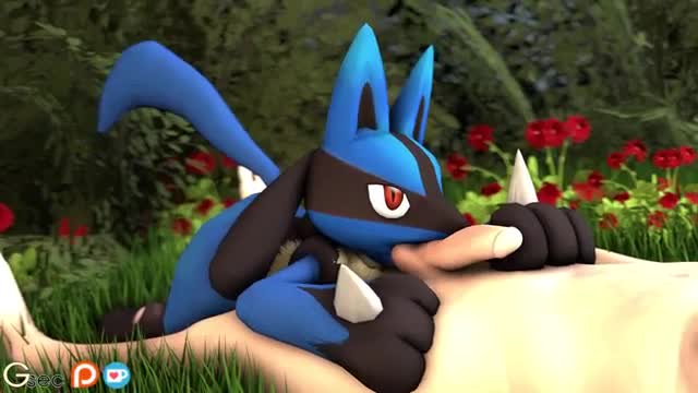 Catching A Lucario [Gsec]
