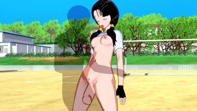Dragon Ball Z – Videl