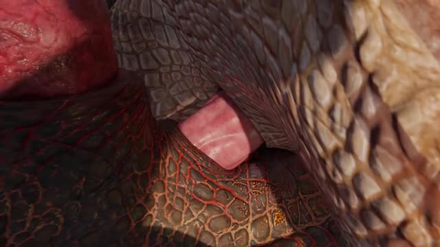 Dragon x Gnasher Dinosaur