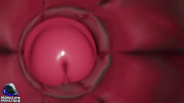 E-Zoid Finnter Cock Growth – Nighdruth Animations