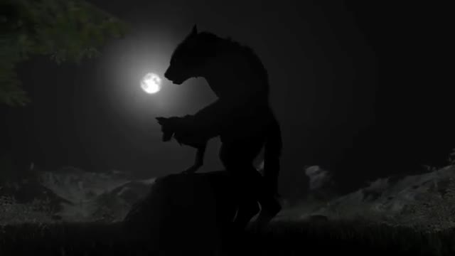 (Female Canine Dog x Male Werewolf) Bestiality Breeding Couple [Wolfland]