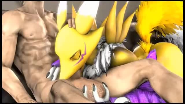 Fingerbang HMV – RENAMON PMV