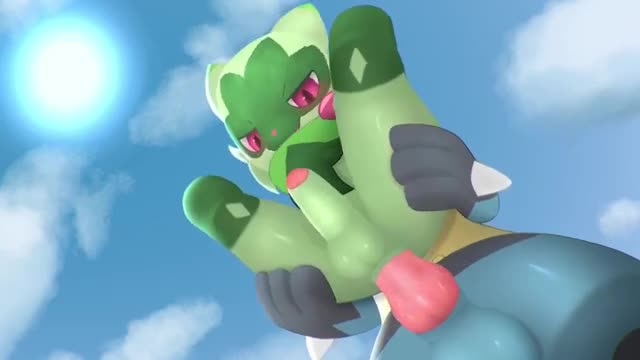 Floragato & Lucario
