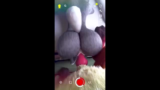 Fuck Bunny Transformation