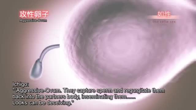 Girls Academy Genie Vibros 5 – The Right Hand of Impregnating Devil ENGLISH