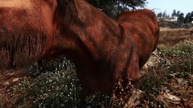 Horse On A Hill