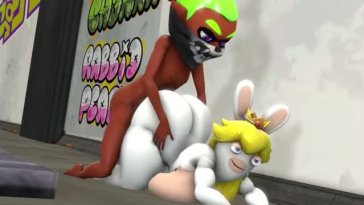 Inkling and rabbid peach