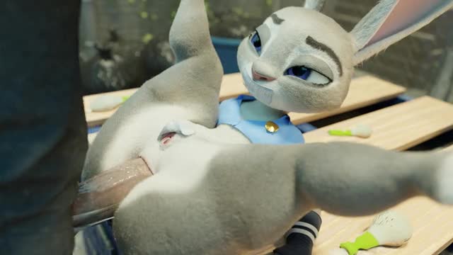 Judy Caught『Snips456fur』