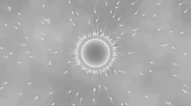 Komi-san Impregnated On Beach