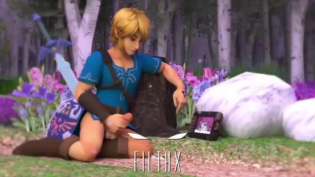 Link’s day off
