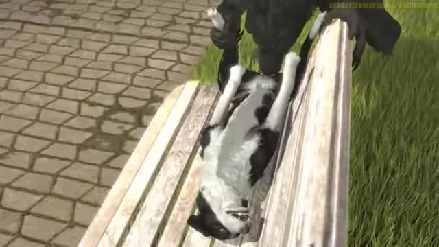 (Male Werewolf x Female Dog) Love at first Breedings [Wolfland]