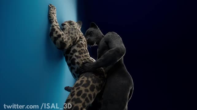 Monthly clip #10 – Gay – Jaguar ♂️♂️