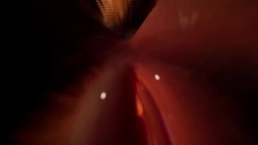 Oral Service for the Wolf Huntress