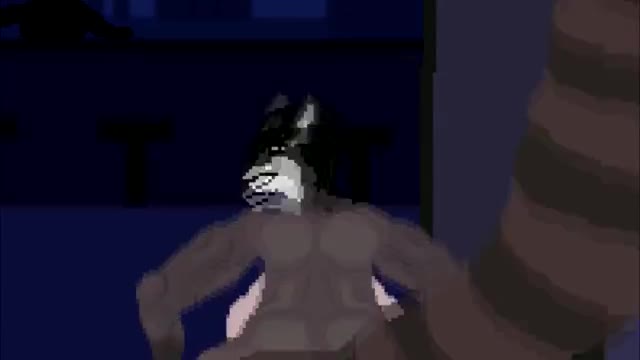 Racoon