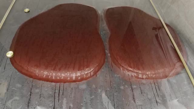 Reindeer Shower Press