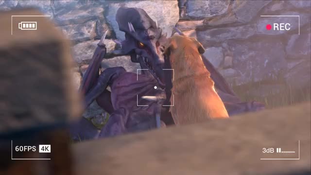 Ridley gets recorded fooling around with Labrador