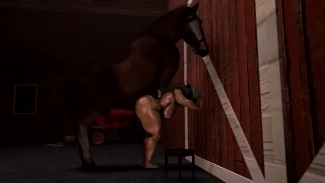 SFMNewbie Compilation