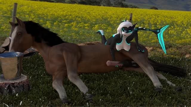 Shark x Horse [4K]