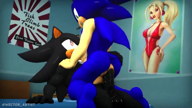 Sonic Riding Shadow