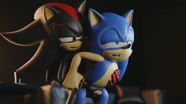 Sonic and Shadow