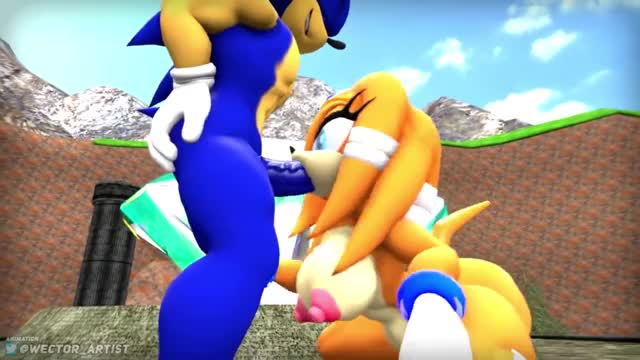Sonic and Tikal