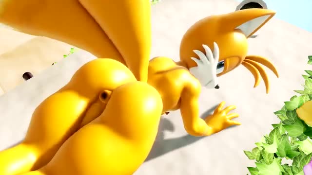 Tails Shaking Ass [stellavideos142]