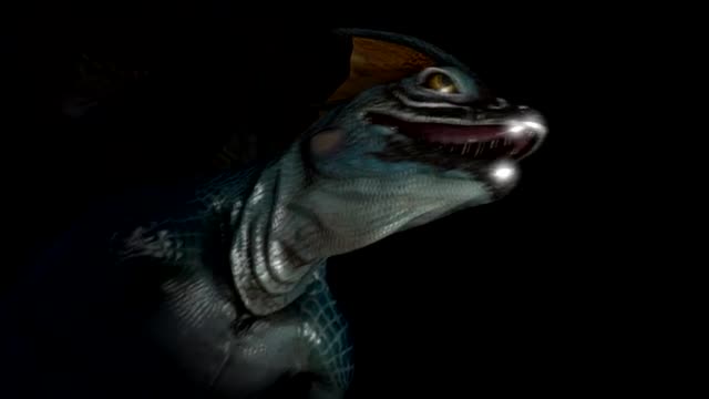 The Lizard Family