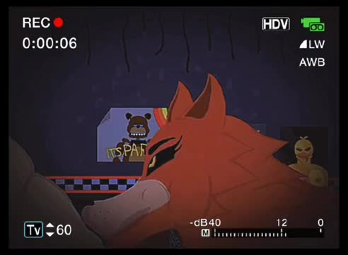 The night with foxy
