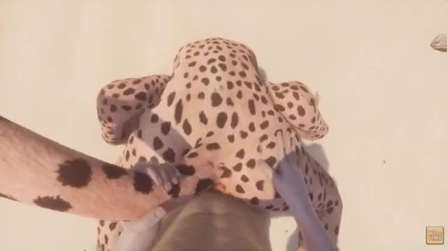 Wild Life – Furry Girl Creampie Compilation