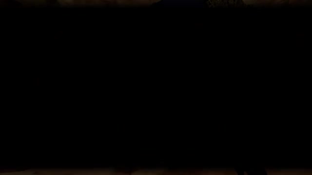 Wildlife  Wolven Compilation