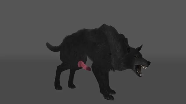 Wolf Sex Animation Render