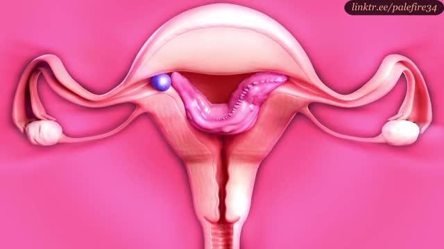 2B can’t hold it in – breeding and birthing (Xray ver)