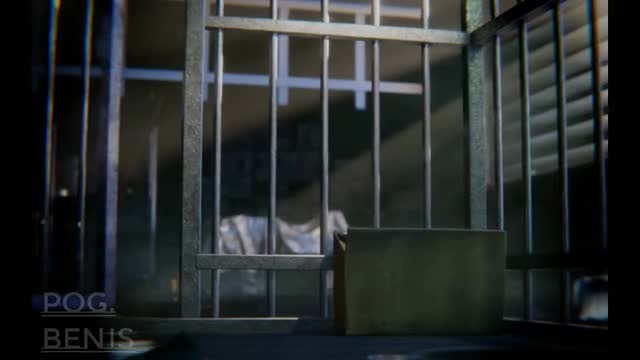 [4K+60FPS] Lara’s Dog