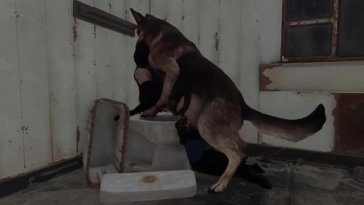 Ada Lets Herself Fucked By A Dog