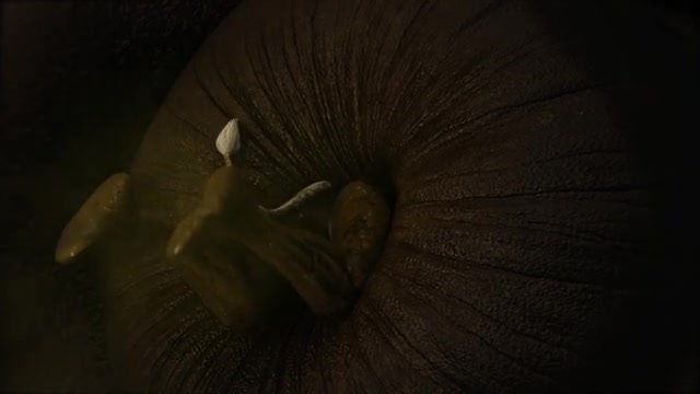Anal vore by ral3d
