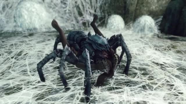 Arachnophilia Part 1