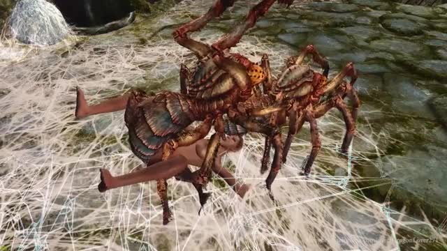Arachnophilia Part 2