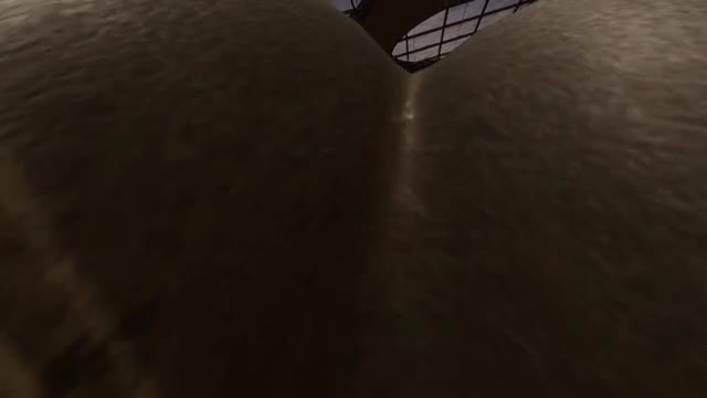 Atomic Twin Robot Facesitting POV