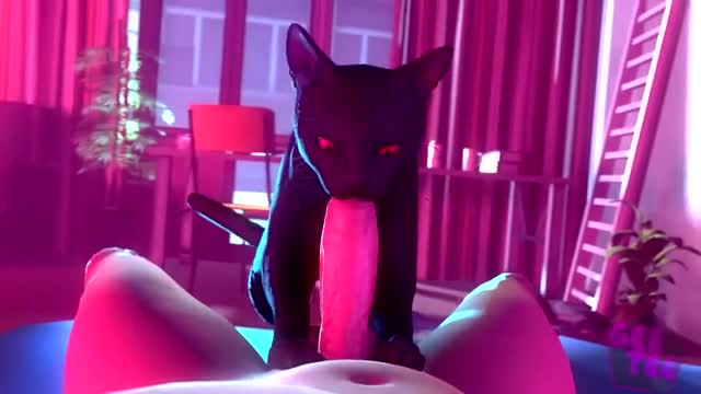 Black Cat Blowjob POV – GeeTee