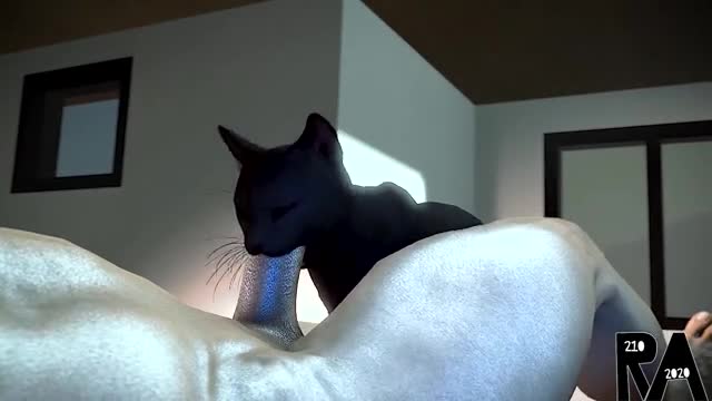 Cat Blowjob – RookieAnimator210