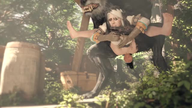 Ciri and Werewolf