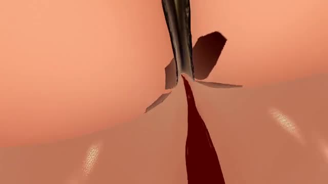Double Facesitting POV