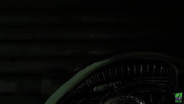 Evelyn Parker Passionate Sex With The Xenomorph [BeastlyJoe]